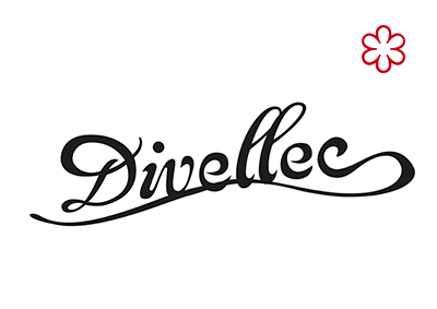 Divellec - CarSitting - Service voiturier Paris