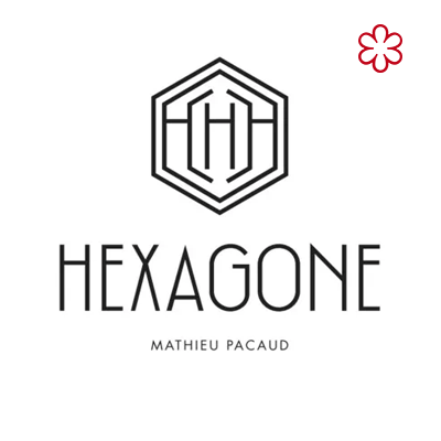 Hexagone - Service voiturier - CarSitting Paris